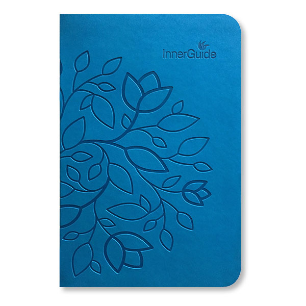 The Life Coach In-a-Book, Faux Leather Cover—Turquoise
